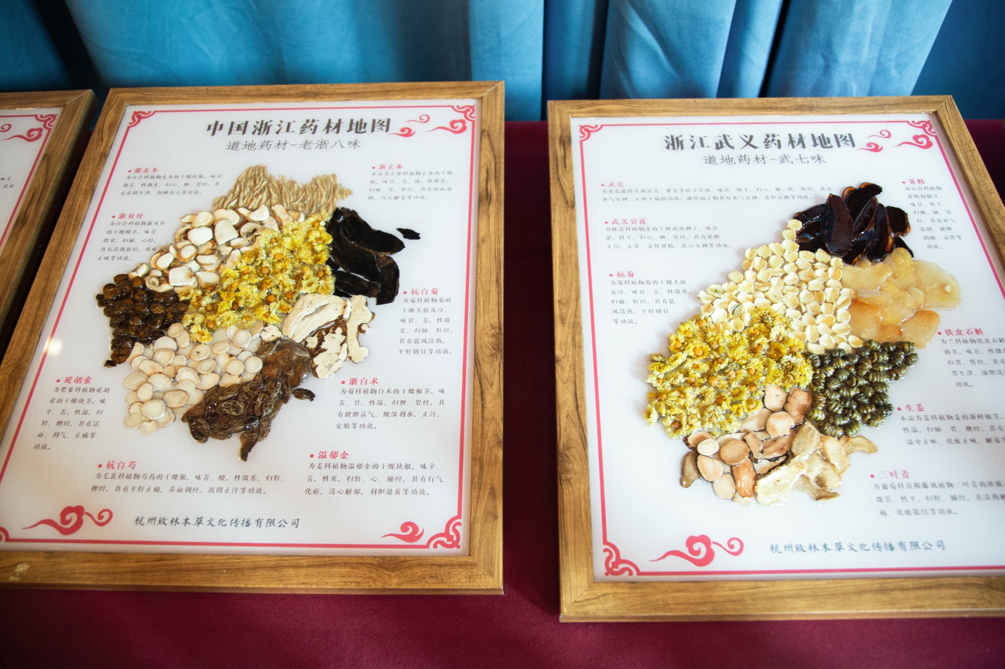 365体育（bet）：金华武义：专家云集共商大健康产业发展新路径(图2)