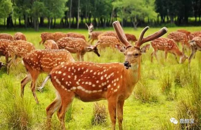 365体育唯一入口：大健康到底是什么？(图6)