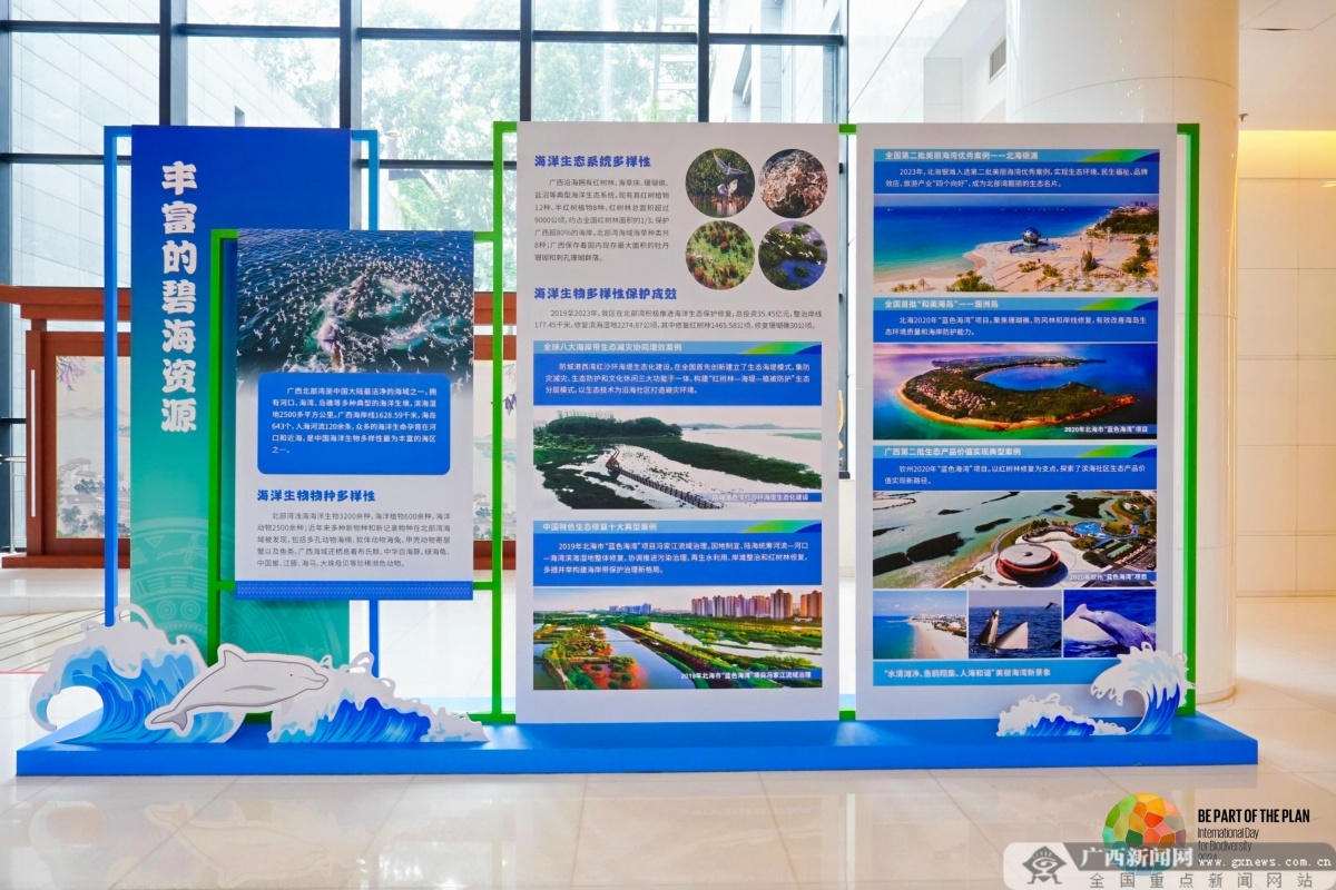 365体育（bet）：探讨环境与大健康融合发展2024年国际生物多样性日广西主场宣传活动在南宁举办(图3)