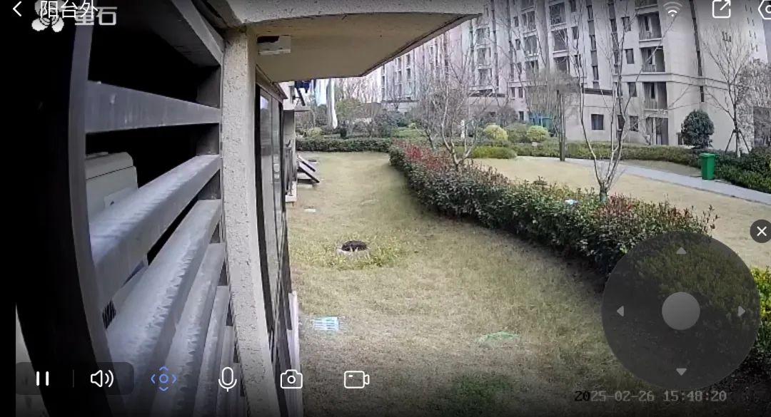 365体育唯一入口：有风险！池州很多人家里都有！(图2)
