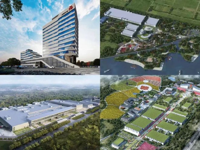 365体育（bet）：2025中国品牌价值评价信息发布福牌阿胶荣登中华老字号品牌价值榜Top7(图10)