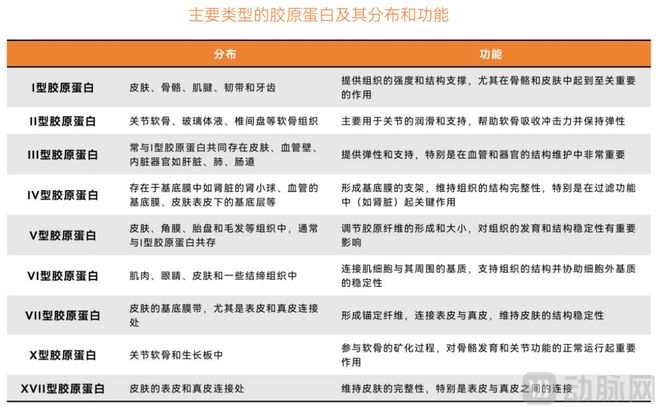 365体育唯一入口：再迎突破！中国重组胶原蛋白产业化正重新定义全球标准(图2)