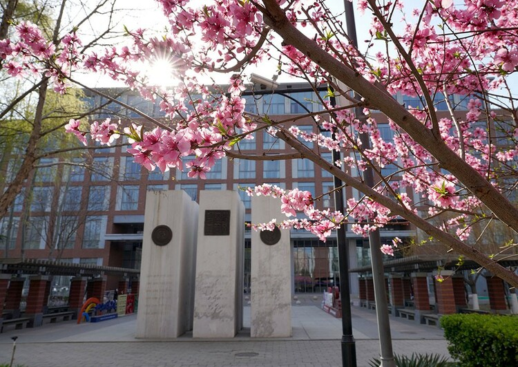 365体育（bet）：2025招生时间首都经济贸易大学数据科学学院：全英文授课“4+0”模式获中美双学位！(图2)
