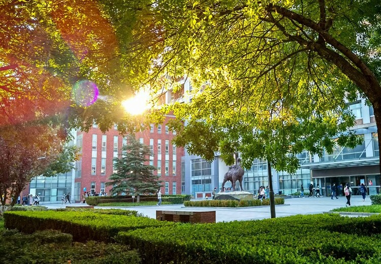 365体育（bet）：2025招生时间首都经济贸易大学数据科学学院：全英文授课“4+0”模式获中美双学位！(图3)