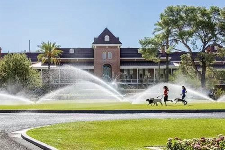 365体育（bet）：2025招生时间首都经济贸易大学数据科学学院：全英文授课“4+0”模式获中美双学位！(图4)